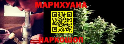 сатива Аргун