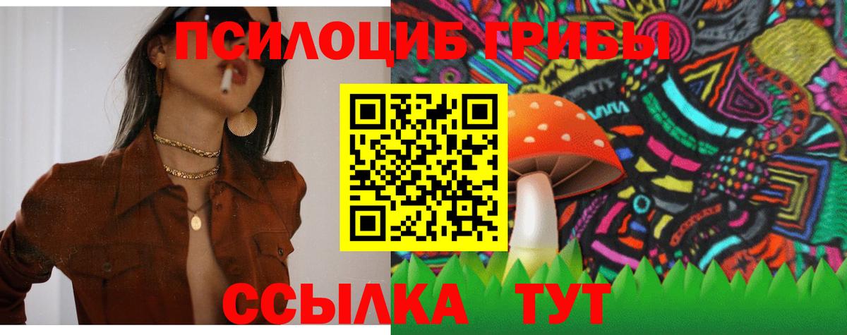 Псилоцибиновые грибы ЛСД Брянск